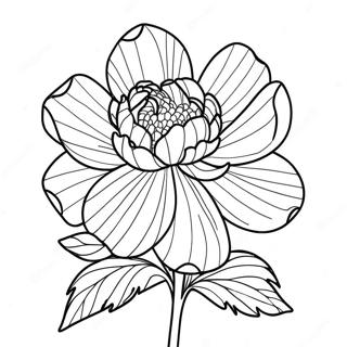 Pagina Para Colorear De La Flor Peonia 39897-33089