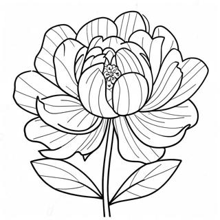 Pagina Para Colorear De La Flor Peonia 39897-33090