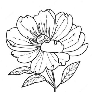 Pagina Para Colorear De La Flor Peonia 39897-33091