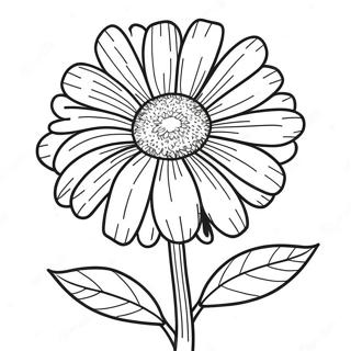 Pagina Para Colorear De Flor De Calendula 41559-34491