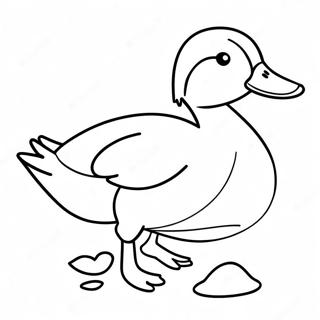 Pagina Para Colorear De Pato Mallard 45072-37471