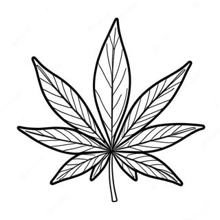 Pagina Para Colorear De Hoja De Cannabis Con Vibras Relajadas 4702-3782