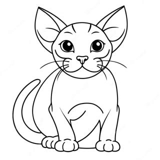 Gato Sphynx Páginas Para Colorear