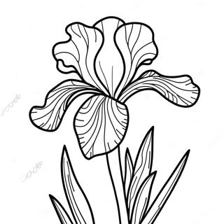 Pagina Para Colorear De Una Flor De Iris 52606-43755