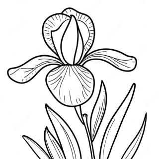 Pagina Para Colorear De Un Hermoso Iris En Flor 52607-43758