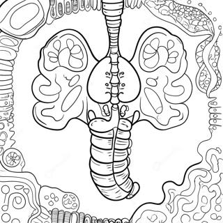 Pagina Para Colorear De Organos Digestivos Coloridos 53639-44715