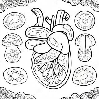 Pagina Para Colorear De Organos Digestivos Coloridos 53639 44716