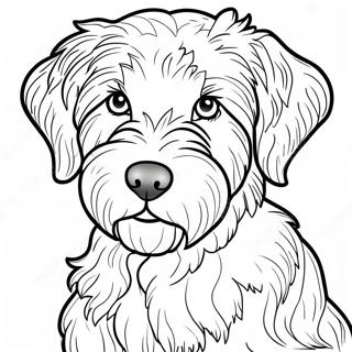 Pagina Para Colorear De Aussiedoodle 55261-45972