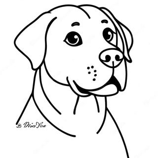 Pagina Para Colorear De Un Labrador 6394-5203