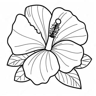 Pagina Para Colorear De Flor De Hibisco 7044-5730