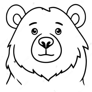 Pagina Para Colorear De Oso Realista 7114-5786