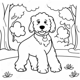 Pagina Para Colorear Goldendoodle Esponjoso Jugando En El Parque 7935-6446