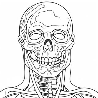 Pagina Para Colorear De Anatomia 981-784