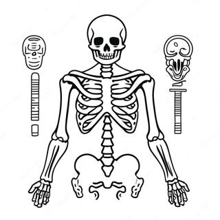 Pagina Para Colorear De Anatomia Del Esqueleto Humano 982-786